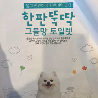 박코끼리님이 올린 리뷰 사진 4