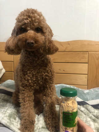최블링님이 올린 리뷰 사진 1