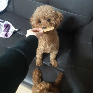 seni님이 올린 리뷰 사진 2