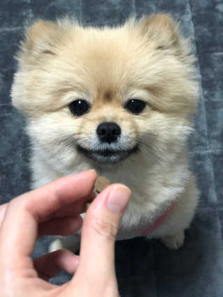 berryjjung님이 올린 리뷰 사진 1