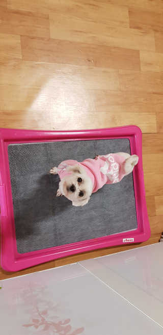 곽현정님이 올린 리뷰 사진 1