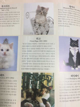 GilhoLee님이 올린 리뷰 사진 2