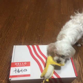 영짱짱님이 올린 리뷰 사진 1