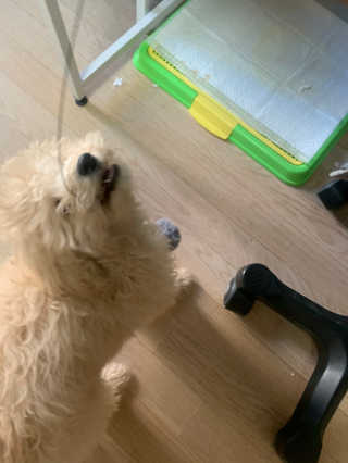 leah님이 올린 리뷰 사진 2