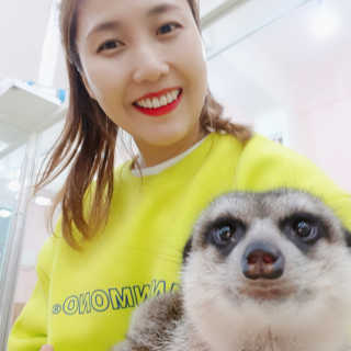 블로거 채가지님이 올린 리뷰 사진 2