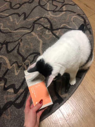 CaroHong님이 올린 리뷰 사진 3