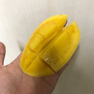 cho님이 올린 리뷰 사진 1