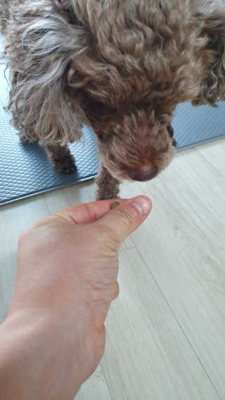 다찌종님이 올린 리뷰 사진 3