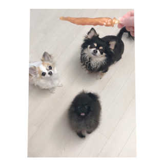 은쓸님이 올린 리뷰 사진 1