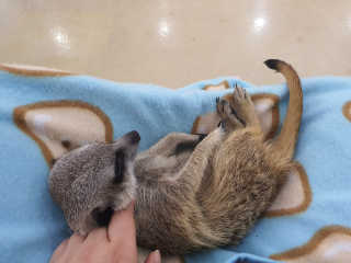 으르렁님이 올린 리뷰 사진 3