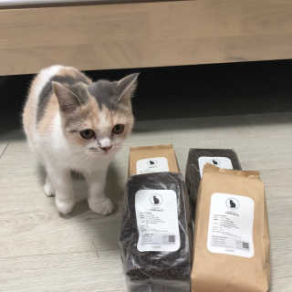 기메연님이 올린 리뷰 사진 1