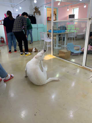 니니님이 올린 리뷰 사진 2