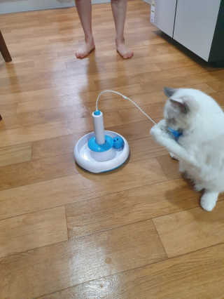 딸랑구둘🥰님이 올린 리뷰 사진 1