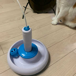 ollie님이 올린 리뷰 사진 2