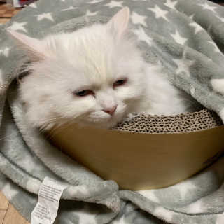 례진님이 올린 리뷰 사진 3