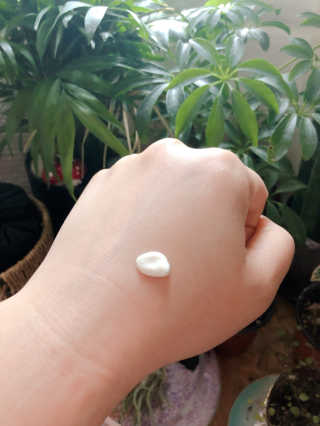 블랙조님이 올린 리뷰 사진 3