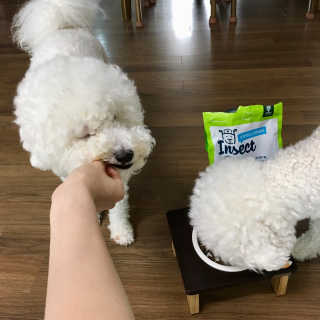eunha121님이 올린 리뷰 사진 2