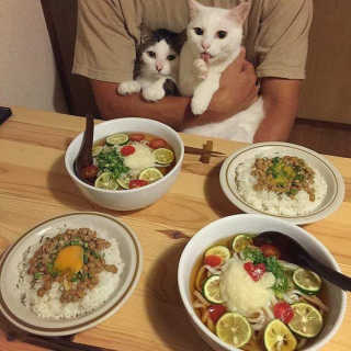 짓우님이 올린 리뷰 사진 2