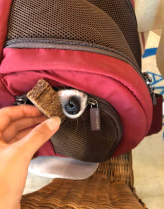 아브라카타브라님이 올린 리뷰 사진 3