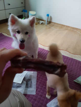 tmvksl5님이 올린 리뷰 사진 3