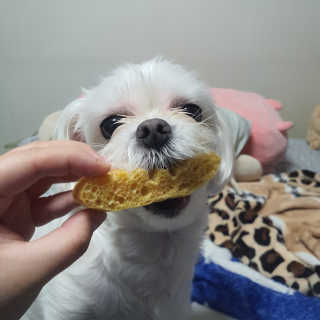 똥지님이 올린 리뷰 사진 3