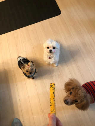 janoo11님이 올린 리뷰 사진 3