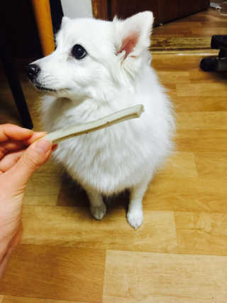 EunjiJo님이 올린 리뷰 사진 1