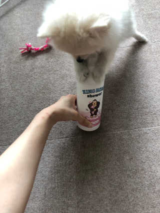 샤맘님이 올린 리뷰 사진 2
