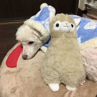 은지짱님이 올린 리뷰 사진 2