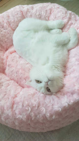Elin님이 올린 리뷰 사진 4