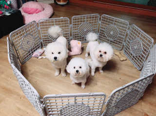 sezziChu님이 올린 리뷰 사진 1
