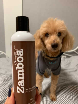 비비안님이 올린 리뷰 사진 2