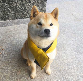 henni님이 올린 리뷰 사진 2