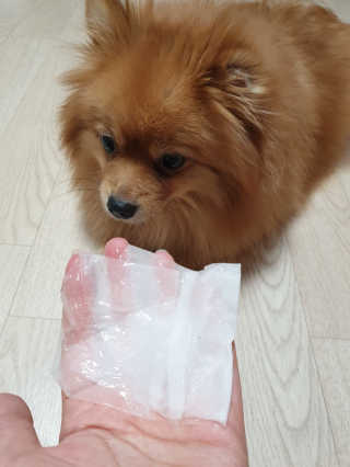 샤샤진진님이 올린 리뷰 사진 4