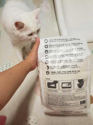 루씨네님이 올린 리뷰 사진 2