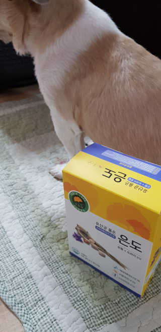 엘리님이 올린 리뷰 사진 2