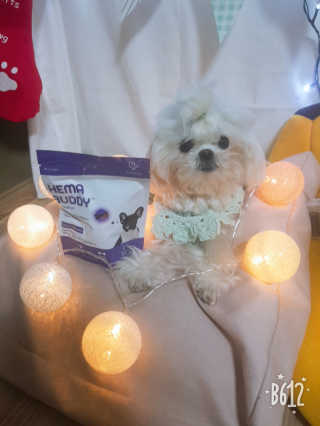 뚱이땅콩맘님이 올린 리뷰 사진 1