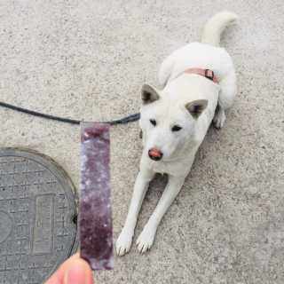 mitchen님이 올린 리뷰 사진 2