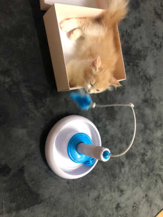 몽숭꾸님이 올린 리뷰 사진 2