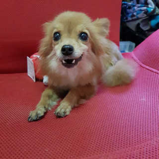 금진영님이 올린 리뷰 사진 1