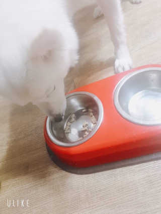 서희석님이 올린 리뷰 사진 2
