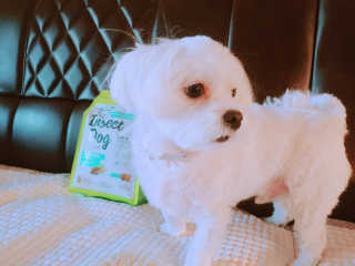 롱님이 올린 리뷰 사진 2