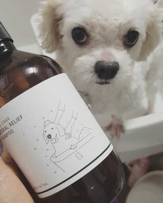 Thud님이 올린 리뷰 사진 3