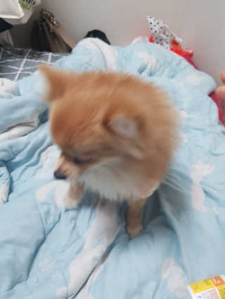 tmvksl5님이 올린 리뷰 사진 2