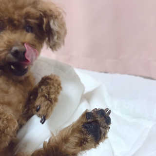 단비비비빕님이 올린 리뷰 사진 3