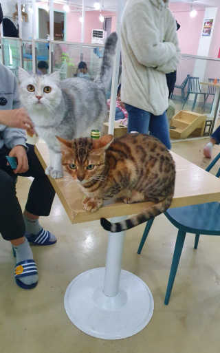 annnnna님이 올린 리뷰 사진 3