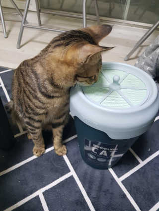 김정년님이 올린 리뷰 사진 3