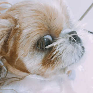 진주성님이 올린 리뷰 사진 2