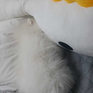 꼬냥꼬냥님이 올린 리뷰 사진 2
