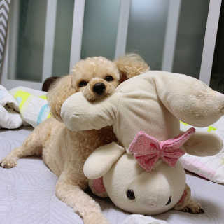 규리님이 올린 리뷰 사진 2